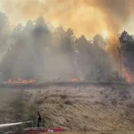 Bolu’da orman yangını: Havadan ve karadan müdahale sürüyor