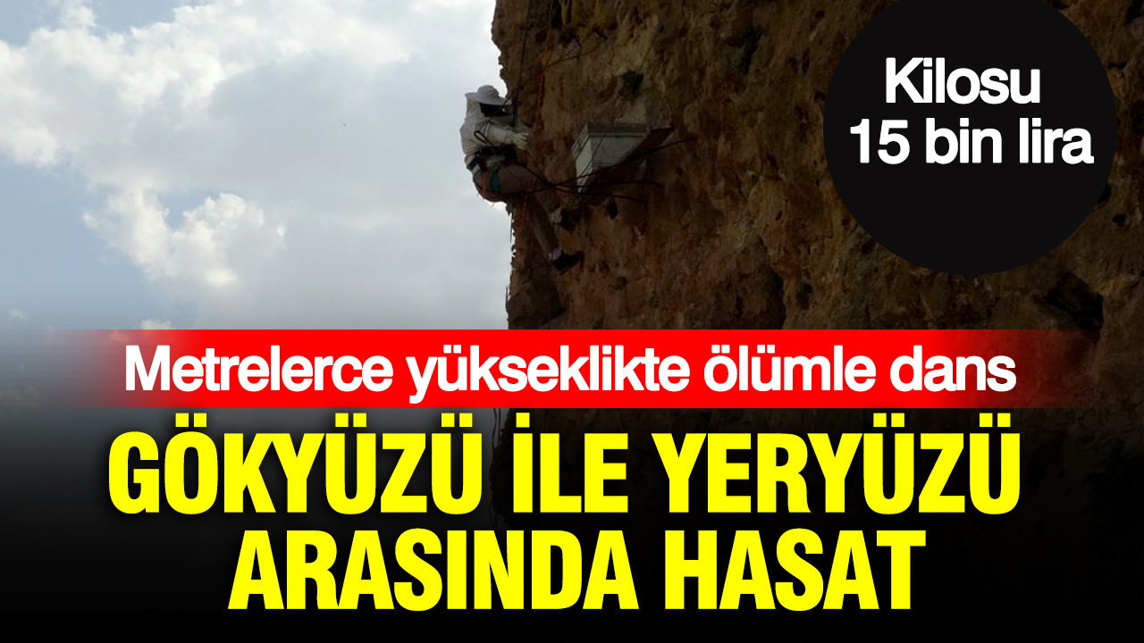 haber-gorseli-1786526164327